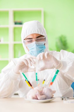 Laboratuvar asistanı GDO tavuğunu test ediyor