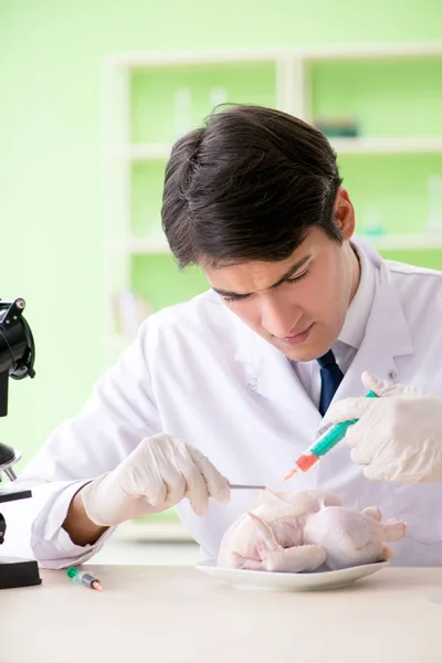 Laborassistentin testet GVO-Hühner — Stockfoto