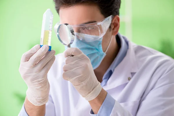 Hombre químico trabajando en el laboratorio — Foto de Stock