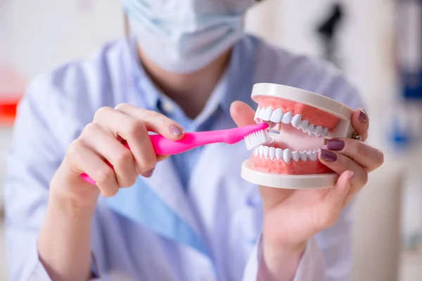 Mulher dentista praticando o trabalho no modelo de dente — Fotografia de Stock