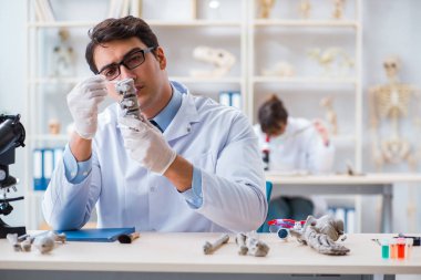 Profesör laboratuvarda insan iskeletini inceliyor.