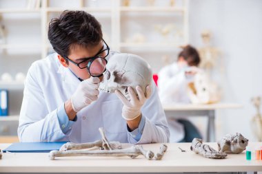 Profesör laboratuvarda insan iskeletini inceliyor.