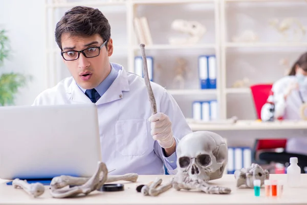 Profesor Estudiando Esqueleto Humano Laboratorio —  Fotos de Stock