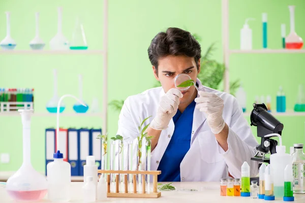 Jovem cientista biotecnológico químico que trabalha em laboratório — Fotografia de Stock