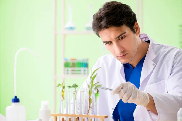 Young biotechnology scientist chemist working in lab — Stock Photo, Image