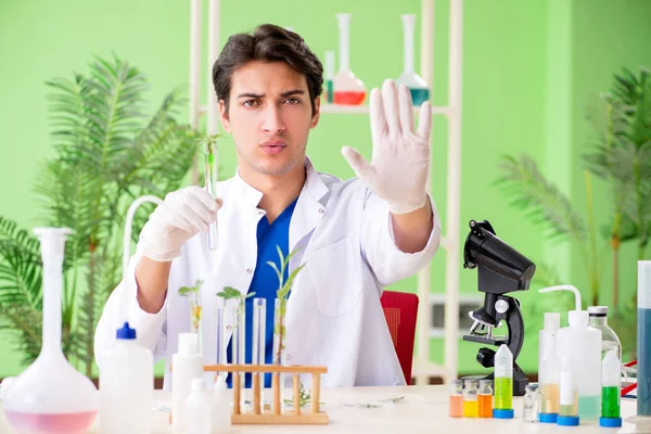 Young biotechnology scientist chemist working in lab — Stock Photo, Image