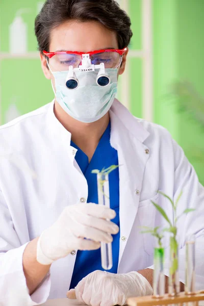 Giovane scienziato biotecnologico chimico che lavora in laboratorio — Foto Stock
