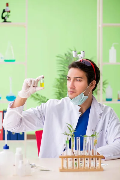 Joven biotecnólogo químico trabajando en laboratorio — Foto de Stock