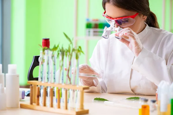 Bela mulher biotecnologia cientista químico trabalhando em laboratório — Fotografia de Stock