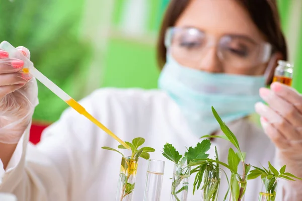 Hermosa mujer biotecnológica científica química trabajando en laboratorio — Foto de Stock