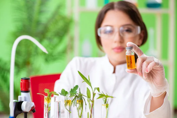 Beautiful female biotechnology scientist chemist working in lab — Stock Photo, Image