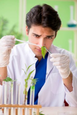 Genç biyoteknoloji bilim adamı kimyager laboratuarda çalışıyor.