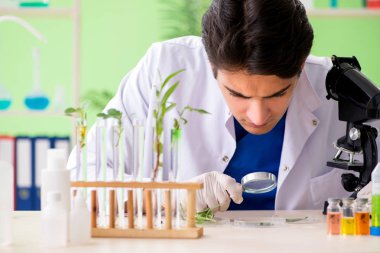 Genç biyoteknoloji bilim adamı kimyager laboratuarda çalışıyor.