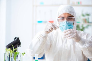 Bitkiler üzerinde çalışan erkek biyokimyacı.