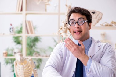 Komik çılgın profesör hayvan iskeletlerini inceliyor.