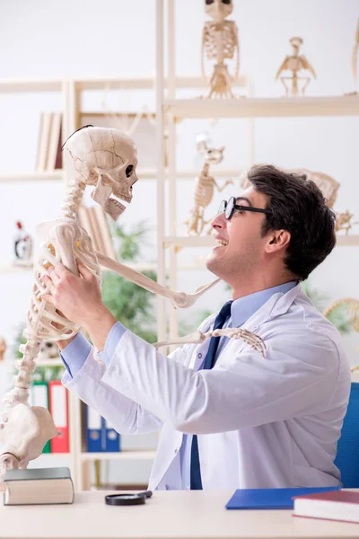 Pazzo professore che studia scheletro umano — Foto Stock