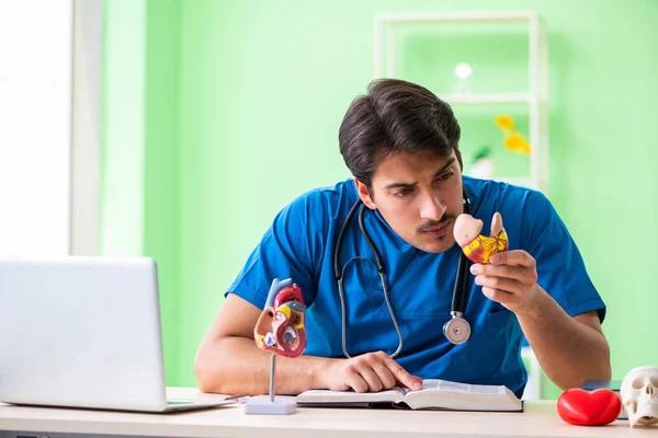 Doktor öğrenci kalp sorunlarını açıklıyor. — Stok fotoğraf