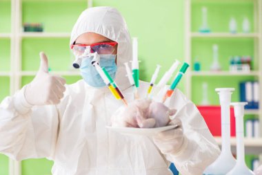 Laboratuvar asistanı GDO tavuğunu test ediyor