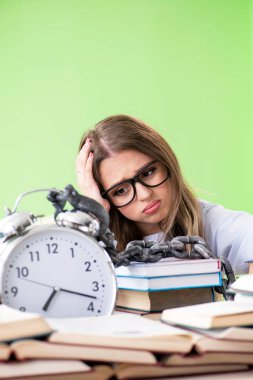 Sınavlara hazırlanan genç kız öğrenci bir sürü kitap ve ça ile