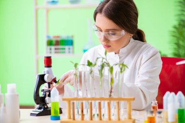 Güzel kadın biyoteknoloji bilim adamı kimyager laboratuarda çalışıyor.