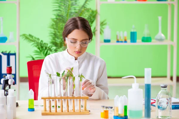 Bela mulher biotecnologia cientista químico trabalhando em laboratório — Fotografia de Stock