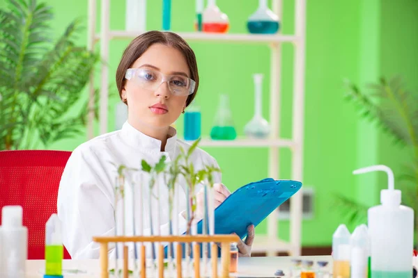 Güzel kadın biyoteknoloji bilim adamı kimyager laboratuarda çalışıyor. — Stok fotoğraf