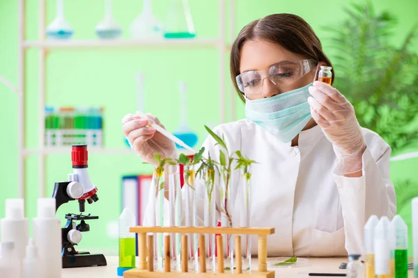 Hermosa mujer biotecnológica científica química trabajando en laboratorio — Foto de Stock