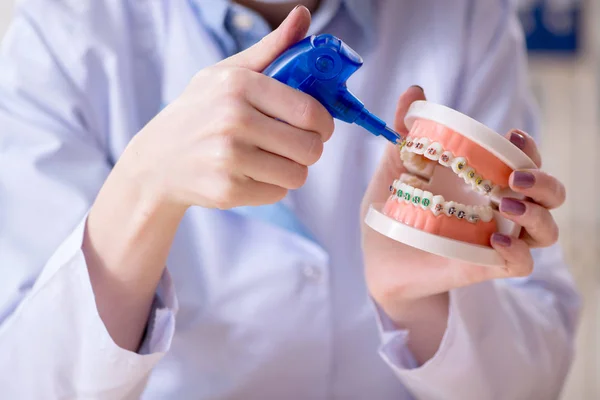 Kadın dişçi, diş modeli üzerinde çalışıyor. — Stok fotoğraf