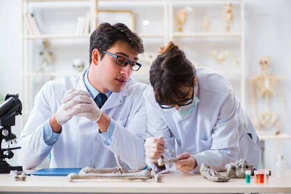 Professeur étudiant le squelette humain en laboratoire — Photo