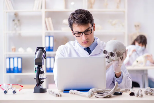 Professor bestudeert menselijk skelet in lab — Stockfoto