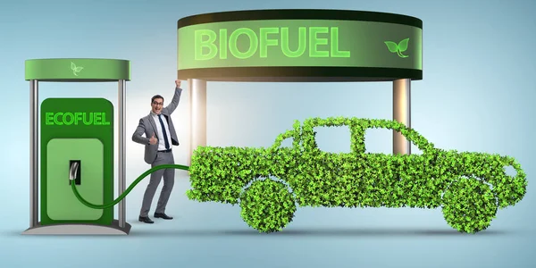 Concetto di biocarburante e conservazione dell'ecologia — Foto Stock