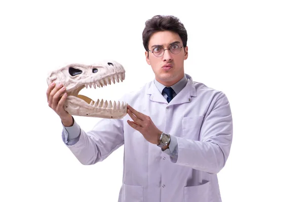 Zabawny szalony profesor paleontolog studiuje szkielety zwierząt i — Zdjęcie stockowe