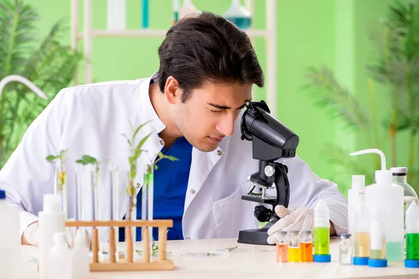 Young biotechnology scientist chemist working in lab — Stock Photo, Image
