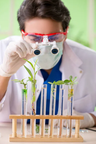 Joven biotecnólogo químico trabajando en laboratorio —  Fotos de Stock