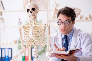 Çılgın profesör insan iskeleti üzerinde çalışıyor.