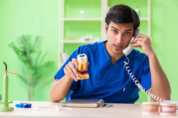 Joven dentista practicando el trabajo en el modelo dental — Foto de Stock