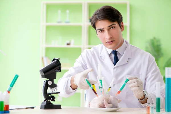 Asistente de laboratorio probando pollo transgénico — Foto de Stock