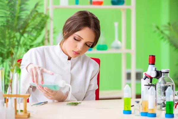 Bella scienziata biotecnologica donna chimico che lavora in laboratorio — Foto Stock