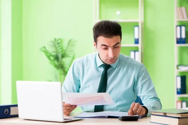 Mannelijke financieel manager werkzaam in het kantoor — Stockfoto