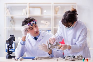 Profesör laboratuvarda insan iskeletini inceliyor.