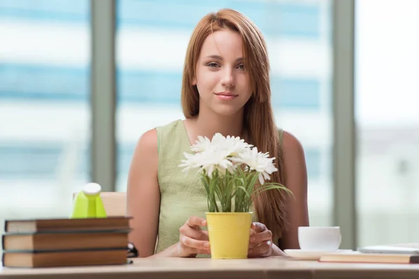 Giovane studente che si prepara per gli esami bere tè — Foto Stock