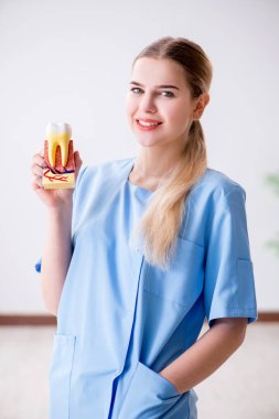 Diş modelli genç doktor hemşire.