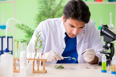 Genç biyoteknoloji bilim adamı kimyager laboratuarda çalışıyor.