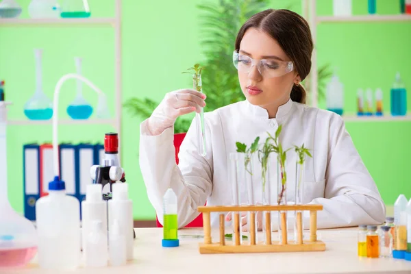 Hermosa mujer biotecnológica científica química trabajando en laboratorio —  Fotos de Stock