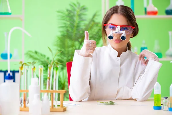 Bella scienziata biotecnologica donna chimico che lavora in laboratorio — Foto Stock