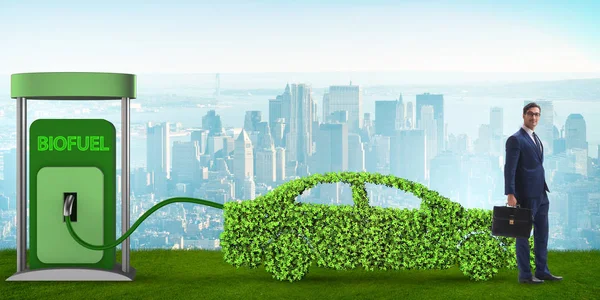 Concept of bio fuel and ecology preservation — Stock Photo, Image