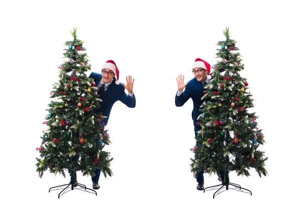 Empresario decorando árbol de navidad aislado en blanco —  Fotos de Stock