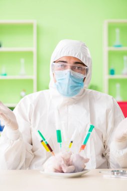 Laboratuvar asistanı GDO tavuğunu test ediyor