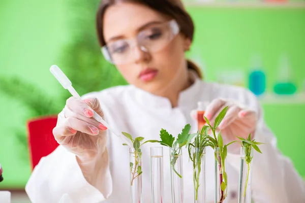 Hermosa mujer biotecnológica científica química trabajando en laboratorio — Foto de Stock