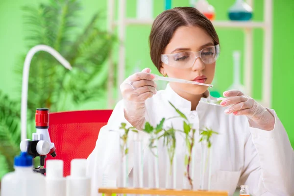 Bela mulher biotecnologia cientista químico trabalhando em laboratório — Fotografia de Stock